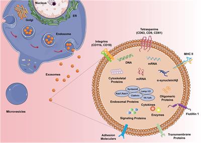 Microglial Exosomes in Neurodegenerative Disease